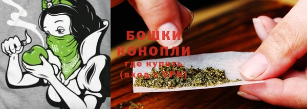 трава Абаза