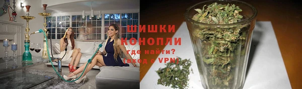 трава Абаза