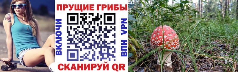 Галлюциногенные грибы мицелий  Пыталово 
